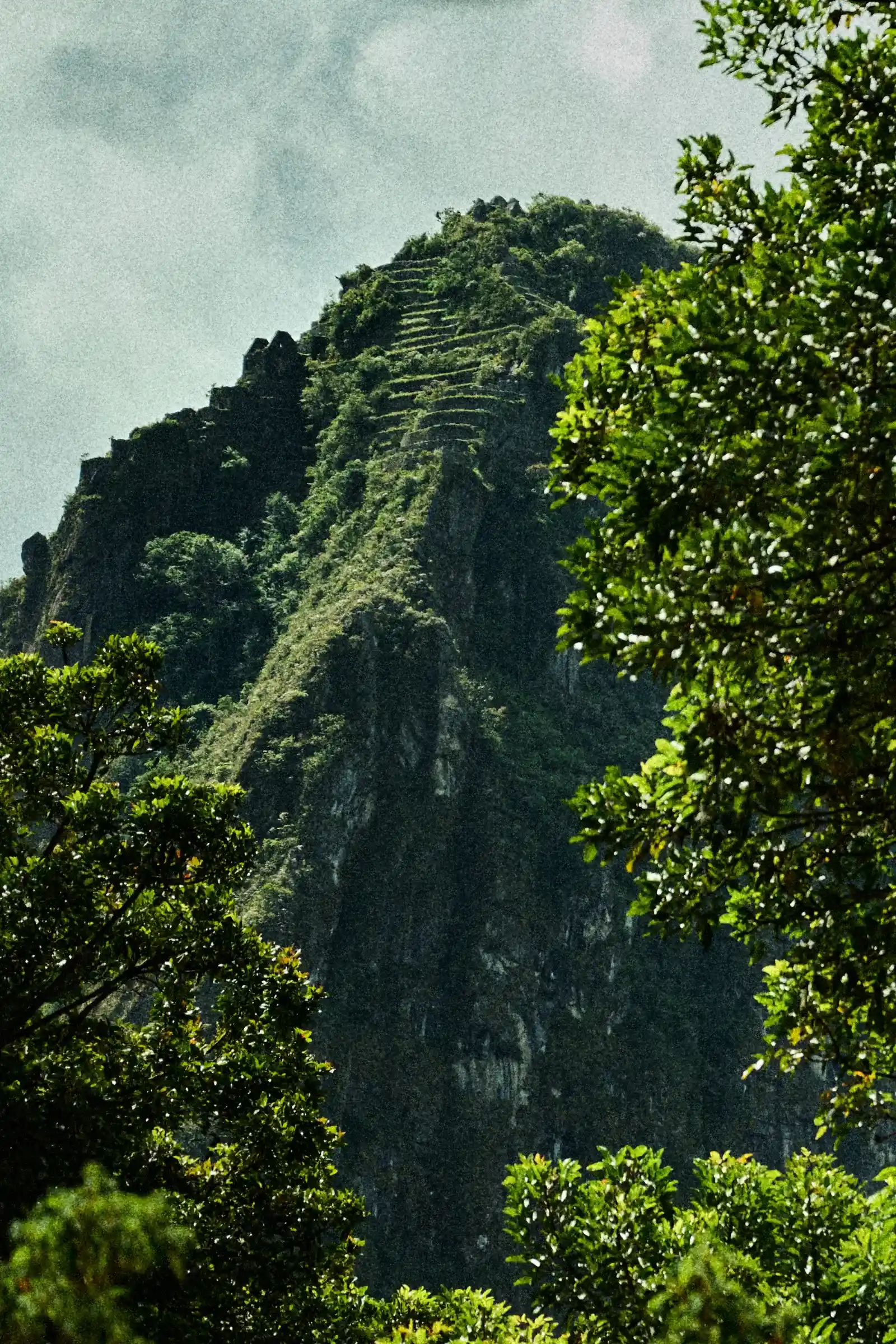 Inca terraces of Machu Picchu amid tropical vegetation, photographed by Javier Falcón for Belmond